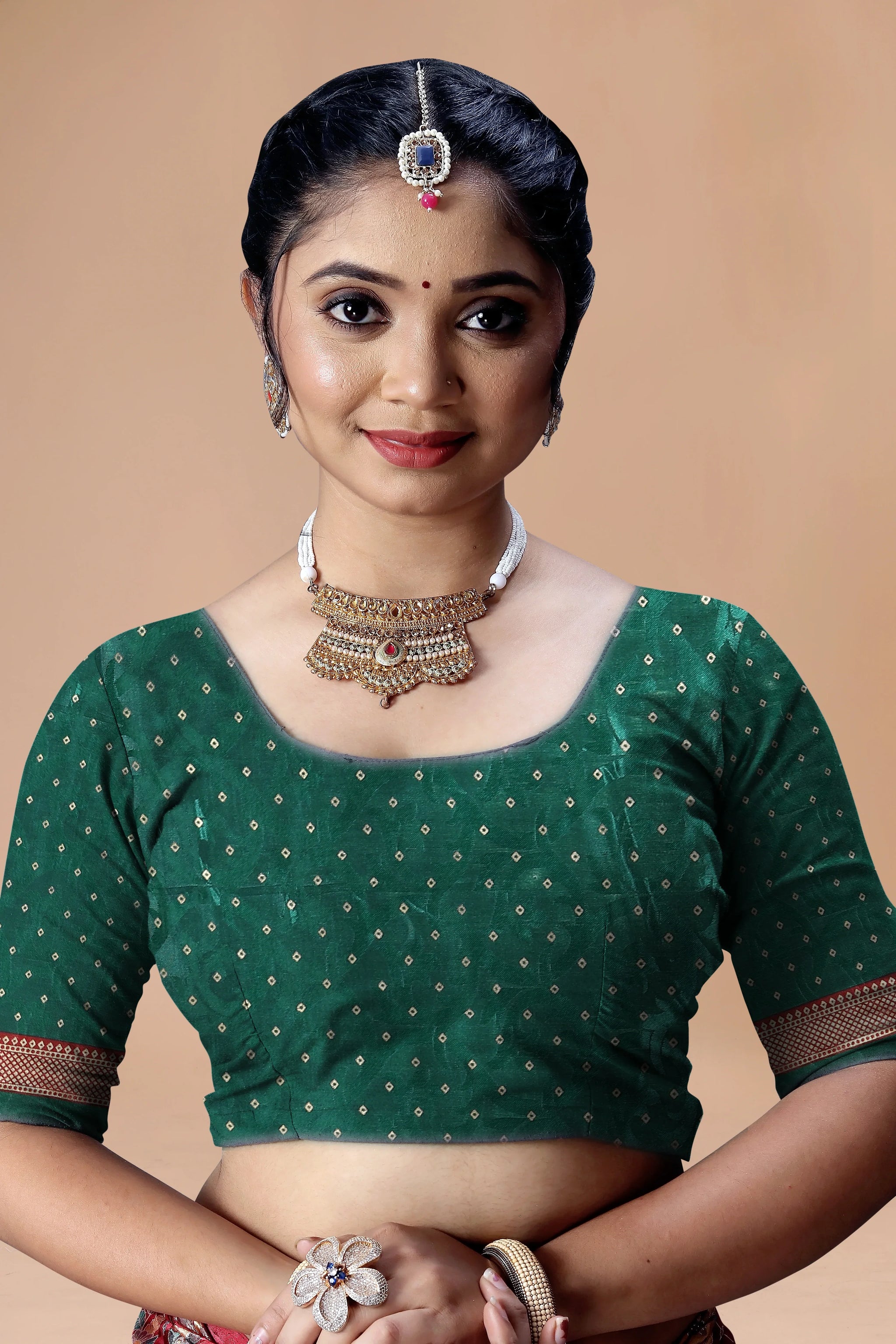 Maharani Rajkanya Pass-Through Silk Saree